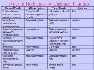 Herbicide resistant plants.pptx