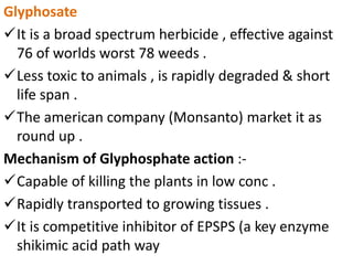 Glyphosate
It is a broad spectrum herbicide , effective against
76 of worlds worst 78 weeds .
Less toxic to animals , is rapidly degraded & short
life span .
The american company (Monsanto) market it as
round up .
Mechanism of Glyphosphate action :-
Capable of killing the plants in low conc .
Rapidly transported to growing tissues .
It is competitive inhibitor of EPSPS (a key enzyme
shikimic acid path way
 