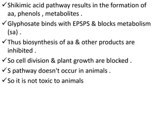 Shikimic acid pathway results in the formation of
aa, phenols , metabolites .
Glyphosate binds with EPSPS & blocks metabolism
(sa) .
Thus biosynthesis of aa & other products are
inhibited .
So cell division & plant growth are blocked .
S pathway doesn't occur in animals .
So it is not toxic to animals
 