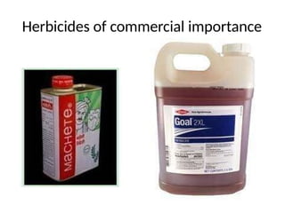 herbicides .pptx