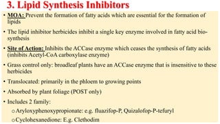 Comprehensive Overview of Herbicides: History, Classification, and Mode ...