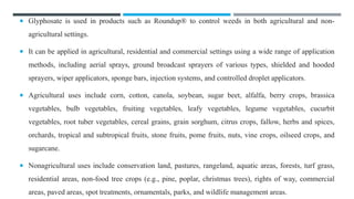  Glyphosate is used in products such as Roundup® to control weeds in both agricultural and non-
agricultural settings.
 It can be applied in agricultural, residential and commercial settings using a wide range of application
methods, including aerial sprays, ground broadcast sprayers of various types, shielded and hooded
sprayers, wiper applicators, sponge bars, injection systems, and controlled droplet applicators.
 Agricultural uses include corn, cotton, canola, soybean, sugar beet, alfalfa, berry crops, brassica
vegetables, bulb vegetables, fruiting vegetables, leafy vegetables, legume vegetables, cucurbit
vegetables, root tuber vegetables, cereal grains, grain sorghum, citrus crops, fallow, herbs and spices,
orchards, tropical and subtropical fruits, stone fruits, pome fruits, nuts, vine crops, oilseed crops, and
sugarcane.
 Nonagricultural uses include conservation land, pastures, rangeland, aquatic areas, forests, turf grass,
residential areas, non-food tree crops (e.g., pine, poplar, christmas trees), rights of way, commercial
areas, paved areas, spot treatments, ornamentals, parks, and wildlife management areas.
 