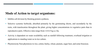 Mode of Action to target organisms:
 Inhibits cell division by blocking protein synthesis.
 Selective systemic herbicide, absorbed primarily by the germinating shoots, and secondarily by the
roots, with translocation throughout the plant, giving higher concentrations in vegetative parts than in
reproductive parts. Effective rates range from 1.0-4.5 kg a.i./ha.
 Activity is dependent on water availability such as rainfall following treatment, overhead irrigation or
applications to standing water as in rice culture.
 Phytotoxicity Non-phytotoxic to rice, cotton, barley, wheat, peanuts, sugar beet, and some brassicas.
 