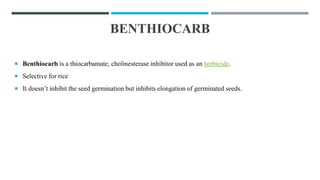 BENTHIOCARB
 Benthiocarb is a thiocarbamate, cholinesterase inhibitor used as an herbicide.
 Selective for rice
 It doesn’t inhibit the seed germination but inhibits elongation of germinated seeds.
 