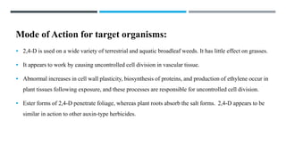 Mode of Action for target organisms:
 2,4-D is used on a wide variety of terrestrial and aquatic broadleaf weeds. It has little effect on grasses.
 It appears to work by causing uncontrolled cell division in vascular tissue.
 Abnormal increases in cell wall plasticity, biosynthesis of proteins, and production of ethylene occur in
plant tissues following exposure, and these processes are responsible for uncontrolled cell division.
 Ester forms of 2,4-D penetrate foliage, whereas plant roots absorb the salt forms. 2,4-D appears to be
similar in action to other auxin-type herbicides.
 
