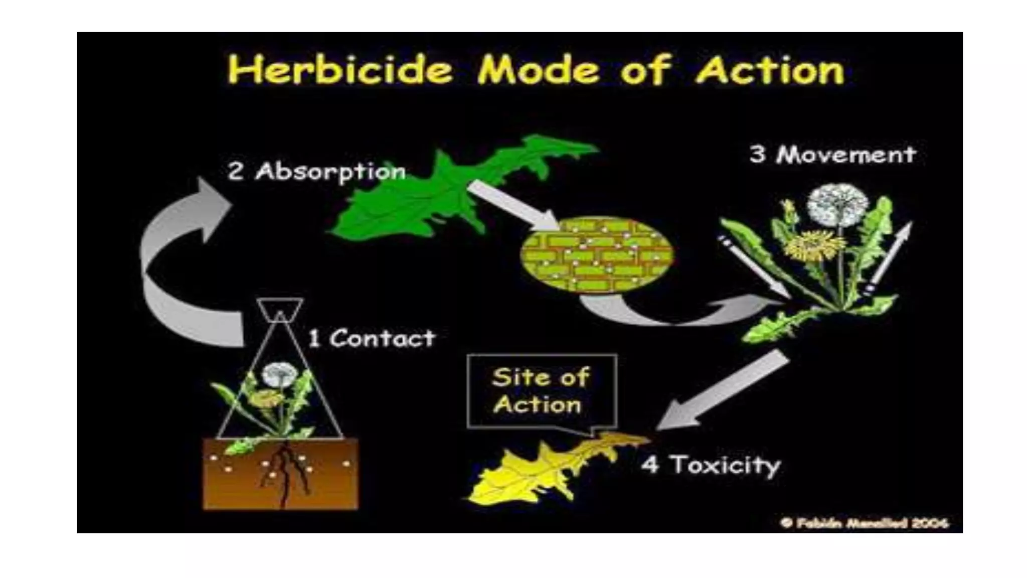 Herbicides classification,their development history and mode of action ...