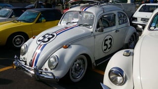 Herbie 53.pptx