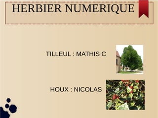 HERBIER NUMERIQUE
TILLEUL : MATHIS C
HOUX : NICOLAS
Felix Potruit
Frederic PANAS SAC
 