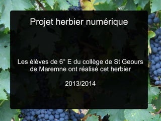 Projet herbier numérique
Les élèves de 6° E du collège de St Geours
de Maremne ont réalisé cet herbier
2013/2014
 