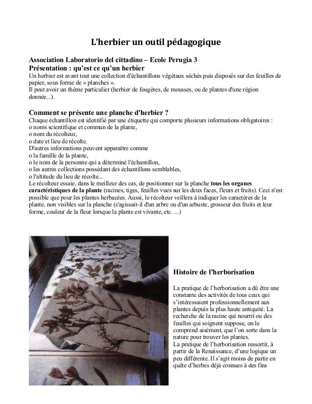 Lherbier Un Outil Pédagogique - 