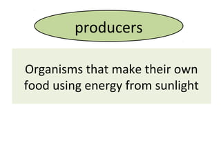 Organisms that make their own
food using energy from sunlight
producers
 