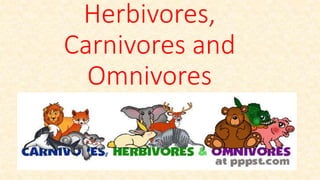 Herbivores,
Carnivores and
Omnivores
 