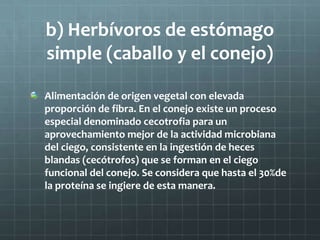b) Herbívoros de estómago
simple (caballo y el conejo)

Alimentación de origen vegetal con elevada
proporción de fibra. En el conejo existe un proceso
especial denominado cecotrofia para un
aprovechamiento mejor de la actividad microbiana
del ciego, consistente en la ingestión de heces
blandas (cecótrofos) que se forman en el ciego
funcional del conejo. Se considera que hasta el 30%de
la proteína se ingiere de esta manera.
 