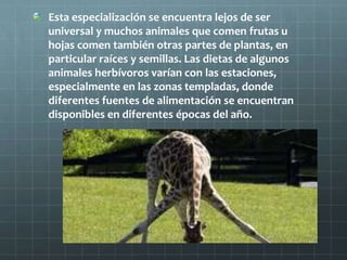 Esta especialización se encuentra lejos de ser
universal y muchos animales que comen frutas u
hojas comen también otras partes de plantas, en
particular raíces y semillas. Las dietas de algunos
animales herbívoros varían con las estaciones,
especialmente en las zonas templadas, donde
diferentes fuentes de alimentación se encuentran
disponibles en diferentes épocas del año.
 