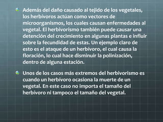 Además del daño causado al tejido de los vegetales,
los herbívoros actúan como vectores de
microorganismos, los cuales causan enfermedades al
vegetal. El herbivorismo también puede causar una
detención del crecimiento en algunas plantas e influir
sobre la fecundidad de estas. Un ejemplo claro de
esto es el ataque de un herbívoro, el cual causa la
floración, lo cual hace disminuir la polinización,
dentro de alguna estación.

Unos de los casos más extremos del herbivorismo es
cuando un herbívoro ocasiona la muerte de un
vegetal. En este caso no importa el tamaño del
herbívoro ni tampoco el tamaño del vegetal.
 