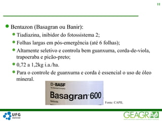 Bentazon (Basagran ou Banir):
Tiadiazina, inibidor do fotossistema 2;
Folhas largas em pós-emergência (até 6 folhas);
Altamente seletivo e controla bem guanxuma, corda-de-viola,
trapoeraba e picão-preto;
0,72 a 1,2kg i.a./ha.
Para o controle de guanxuma e corda é essencial o uso de óleo
mineral.
11
Fonte: CAPIL
 
