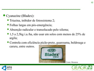 Cyanazine (Bladex):
Triazina, inibidor de fotossistema 2;
Folhas largas em pós-emergência;
Absorção radicular e transolacado pelo xilema;
1,5 a 2,5kg i.a./ha, não usar em solos com menos de 25% de
argila;
Controla com eficiência picão-preto, guanxuma, beldroega e
caruru, entre outros.
12
Fonte: Bonanza
 