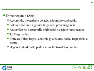 Dimethenamid (Zeta):
Acetamida, mecanismo de ação não muito conhecido;
Folhas estreitas e algumas largas em pré-emergência;
Absorvido pelo coleóptilo e hipocótilo e não é translocado;
1,125kg i.a./ha;
Entre as folhas largas, controla guanxuma, poaia, trapoeraba e
caruru;
Dependendo do solo pode causar fitotoxidez no milho.
14
 