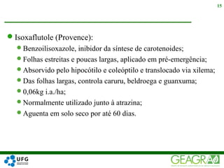 Isoxaflutole (Provence):
Benzoilisoxazole, inibidor da síntese de carotenoides;
Folhas estreitas e poucas largas, aplicado em pré-emergência;
Absorvido pelo hipocótilo e coleóptilo e translocado via xilema;
Das folhas largas, controla caruru, beldroega e guanxuma;
0,06kg i.a./ha;
Normalmente utilizado junto à atrazina;
Aguenta em solo seco por até 60 dias.
15
 