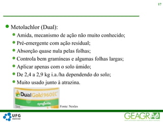 Metolachlor (Dual):
Amida, mecanismo de ação não muito conhecido;
Pré-emergente com ação residual;
Absorção quase nula pelas folhas;
Controla bem gramíneas e algumas folhas largas;
Aplicar apenas com o solo úmido;
De 2,4 a 2,9 kg i.a./ha dependendo do solo;
Muito usado junto à atrazina.
17
Fonte: Nexles
 