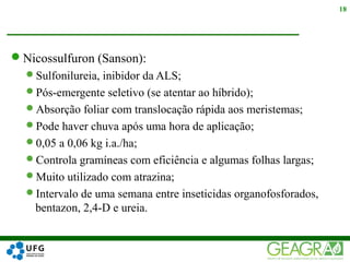 Nicossulfuron (Sanson):
Sulfonilureia, inibidor da ALS;
Pós-emergente seletivo (se atentar ao híbrido);
Absorção foliar com translocação rápida aos meristemas;
Pode haver chuva após uma hora de aplicação;
0,05 a 0,06 kg i.a./ha;
Controla gramíneas com eficiência e algumas folhas largas;
Muito utilizado com atrazina;
Intervalo de uma semana entre inseticidas organofosforados,
bentazon, 2,4-D e ureia.
18
 