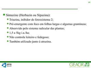 Simazine (Herbazin ou Sipazina):
Triazina, inibidor do fotossistema 2;
Pré-emergente com foco em folhas largas e algumas gramíneas;
Absorvido pelo sistema radicular das plantas;
1,5 a 5kg i.a./ha;
Não controla leiteiro e fedegoso;
Também utilizado junto à atrazina.
19
 