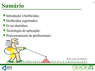 Introdução à herbicidas;
Herbicidas registrados;
Ervas daninhas;
Tecnologia de aplicação;
Posicionamento de profissionais.
Sumário
2
Fonte: Lucas Levandowski
 