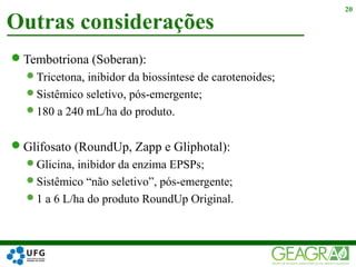 Tembotriona (Soberan):
Tricetona, inibidor da biossíntese de carotenoides;
Sistêmico seletivo, pós-emergente;
180 a 240 mL/ha do produto.
Glifosato (RoundUp, Zapp e Gliphotal):
Glicina, inibidor da enzima EPSPs;
Sistêmico “não seletivo”, pós-emergente;
1 a 6 L/ha do produto RoundUp Original.
Outras considerações
20
 