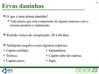 O que é uma planta daninha?
Toda planta que está competindo de alguma maneira com o
sistema produtivo implantado.
Período crítico de competição: 20 a 60 dias;
Alelopatia negativa com algumas espécies:
Ervas daninhas
22
 