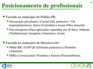 Fazenda no município de Pinhão-PR:
Dessecação pré-plantio: Crucial (Gli. potássico + Gli.
Isopropilaminico), Select (Cletodim) e Assist (Óleo mineral);
Pós-emergente (Duas aplicações separadas em 30 dias): Soberan
(Tembotriona), Gesaprim (Atrazina) e Assist.
Fazenda no município de Mineiros-GO:
Milho RR: ZAPP QI (Glifosato potássico) e Primóleo
(Atrazina);
Milho Convencional: Primóleo e Sanson (Nicossulfuron).
Posicionamento de profissionais
36
 