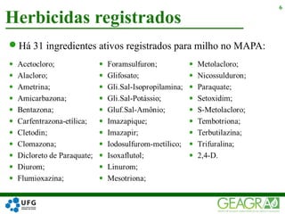 Há 31 ingredientes ativos registrados para milho no MAPA:
Herbicidas registrados
6
 