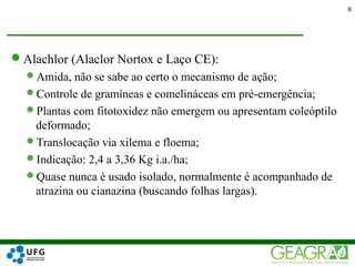 Alachlor (Alaclor Nortox e Laço CE):
Amida, não se sabe ao certo o mecanismo de ação;
Controle de gramíneas e comelináceas em pré-emergência;
Plantas com fitotoxidez não emergem ou apresentam coleóptilo
deformado;
Translocação via xilema e floema;
Indicação: 2,4 a 3,36 Kg i.a./ha;
Quase nunca é usado isolado, normalmente é acompanhado de
atrazina ou cianazina (buscando folhas largas).
8
 