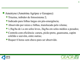 Ametryne (Ametrina Agripec e Gesapax):
Triazina, inibidor de fotossistema 2;
Indicado para folhas largas em pós-emergência;
Absorvido por raízes e folhas, translocado pelo xilema;
1,5kg/ha de i.a em solos leves, 2kg/ha em solos médios a pesados;
Controla com eficiência: caruru, picão-preto, guanxuma, capim
colchão e azevém, entre outras;
Requer 6 horas sem chuva para ser absorvido.
9
 