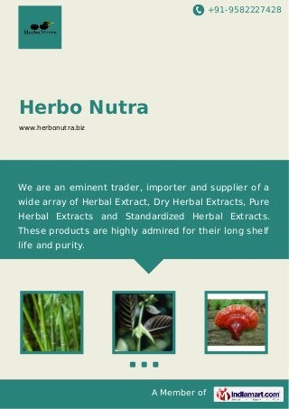 +91-9582227428

Herbo Nutra
www.herbonutra.biz

We are an eminent trader, importer and supplier of a
wide array of Herbal Extract, Dry Herbal Extracts, Pure
Herbal Extracts and Standardized Herbal Extracts.
These products are highly admired for their long shelf
life and purity.

A Member of

 