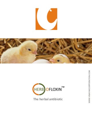 The herbal antibiotic
TM
 