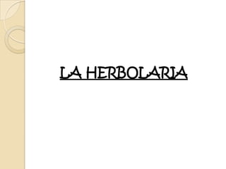 LA HERBOLARIA
 