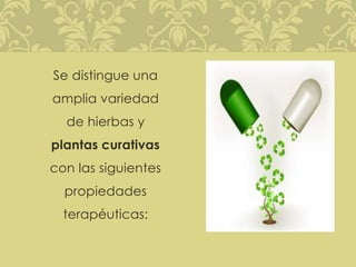 Se distingue una
amplia variedad
de hierbas y
plantas curativas
con las siguientes
propiedades
terapéuticas:
 