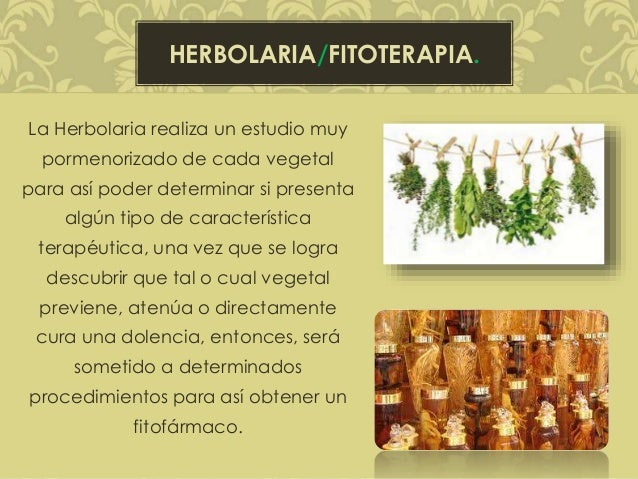 Herbolaria
