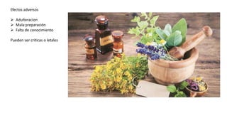 Efectos adversos
 Adulteracion
 Mala preparación
 Falta de conocimiento
Pueden ser criticas o letales
 
