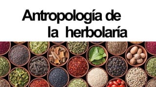 Antropologíade
la herbolaría
 