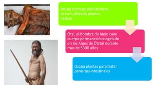 Desde tiempos prehistóricos
se han utilizado plantas
nativas
Ötzi, el hombre de hielo cuyo
cuerpo permaneció congelado
en los Alpes de Ötztal durante
más de 5300 años
Usaba plantas para tratar
parásitos intestinales
 