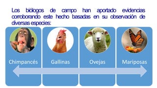 Los biólogos de campo han aportado evidencias
corroborando este hecho basadas en su observación de
diversasespecies:
Chimpancés Gallinas Ovejas Mariposas
 
