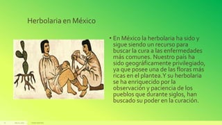 Herbolaria en México
• En México la herbolaria ha sido y
sigue siendo un recurso para
buscar la cura a las enfermedades
más comunes. Nuestro país ha
sido geográficamente privilegiado,
ya que posee una de las floras más
ricas en el plantea.Y su herbolaria
se ha enriquecido por la
observación y paciencia de los
pueblos que durante siglos, han
buscado su poder en la curación.
July22, 2012 Footertext here
21
 