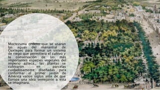 Moctezuma ordeno que se usaran
las aguas del manantial de
Oaxtepec para formar un sistema
de riego que permitiera el cultivo y
la conservación de las más
importantes especies vegetales del
imperio azteca., las plantas se
cultivaron en parcelas
cuidadosamente diseñadas para
conformar el primer jardín de
América varios siglos ante de que
Europa una idea semejante a esta
se imaginara.
 