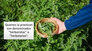 Quienes la practican
son denominados
“herboristas” o
“herbolarios”.
 