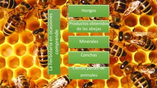 La
herbolaria
en
ocasiones
comprende
Hongos
Productos obtenidos
de las abejas
Minerales
Conchas
Ciertas partes de
animales
 