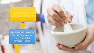El uso tradicional de las
sustancias medicinales
Se reconoce como una
forma de aprender
sobre posibles
fármacos futuros
 