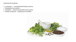 Sustancias de las plantas
 aromaticas_---- principalmente fenoles y taninos
 Metabolitos secundarios---
 Alcaloides--- mecanismo de defense de la planta
 Hierbas y especias--- utilizadas por el hombre
 