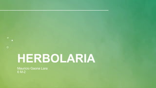 HERBOLARIA
Mauricio Gaona Lara
6 M-2
 