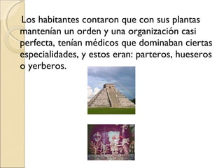 Los habitantes contaron que con sus plantas mantenían un orden y una organización casi perfecta, tenían médicos que dominaban ciertas especialidades, y estos eran: parteros, hueseros o yerberos. 